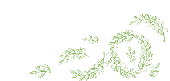 Olive branches